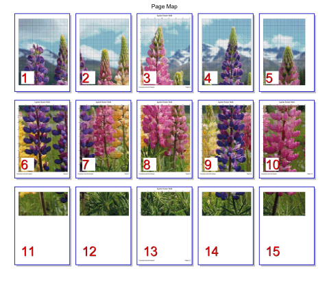 Patrón digital de Punto de cruz: Campo de flores de lupino
