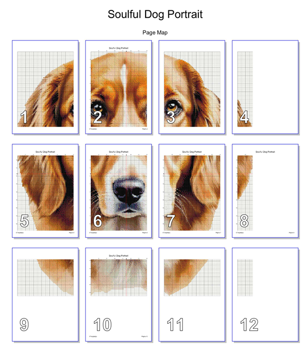 Patrón digital de Punto de cruz: Retrato de un perro, sin fondo bordado.